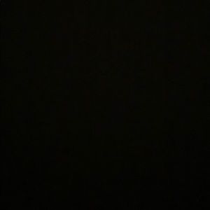 Meet your Posher, Bella